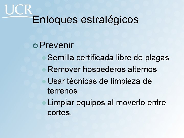 Enfoques estratégicos ¢ Prevenir l Semilla certificada libre de plagas l Remover hospederos alternos