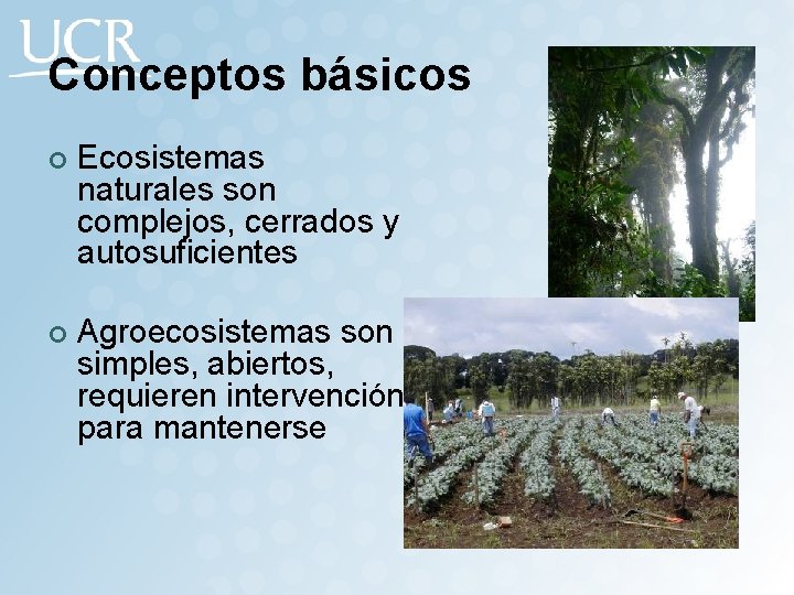 Conceptos básicos ¢ Ecosistemas naturales son complejos, cerrados y autosuficientes ¢ Agroecosistemas son simples,