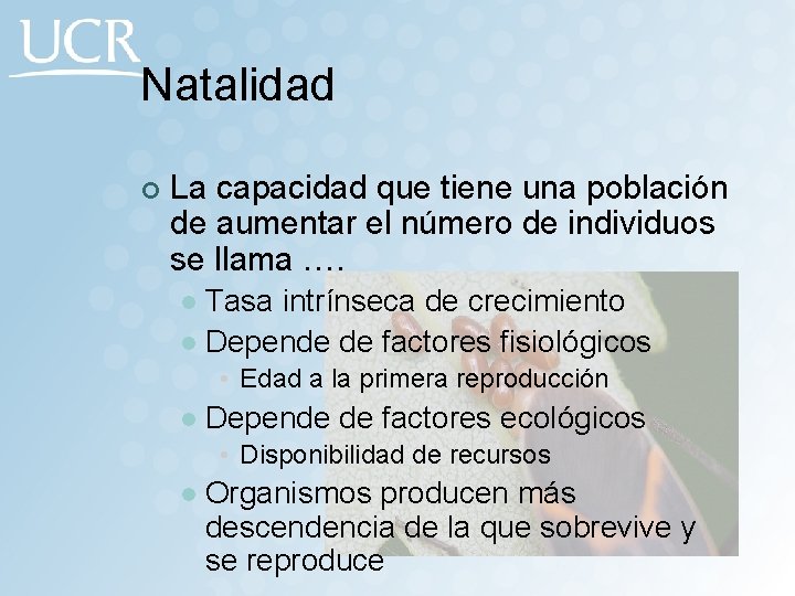 Natalidad ¢ La capacidad que tiene una población de aumentar el número de individuos