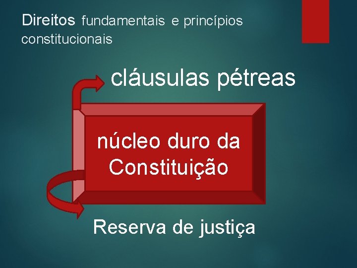 Direitos fundamentais e princípios constitucionais cláusulas pétreas núcleo duro da Constituição Reserva de justiça