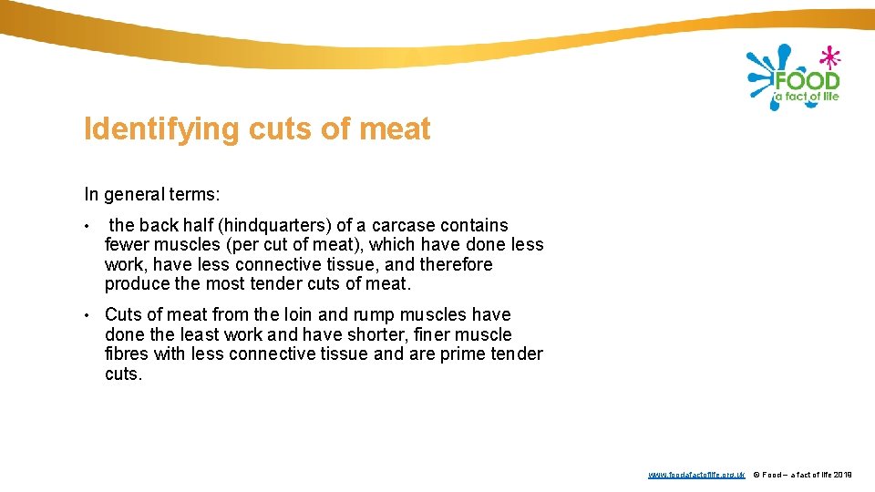 Identifying cuts of meat In general terms: • the back half (hindquarters) of a