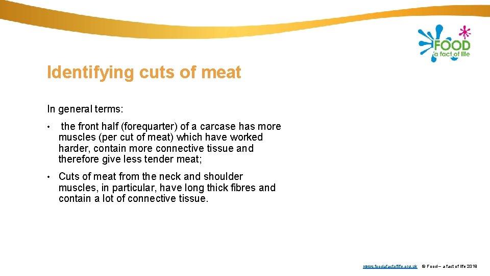 Identifying cuts of meat In general terms: • the front half (forequarter) of a