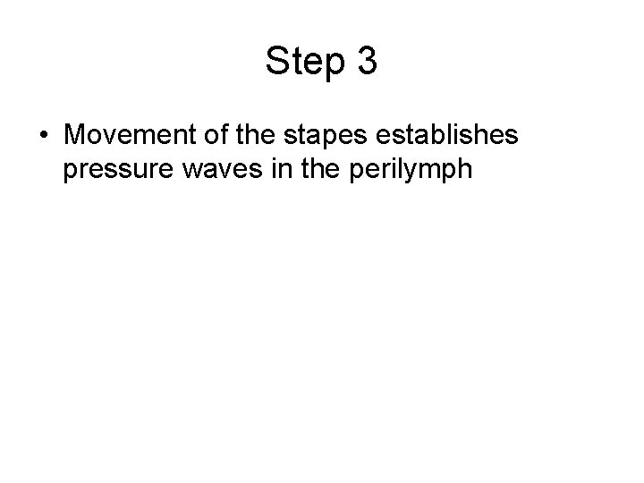 Step 3 • Movement of the stapes establishes pressure waves in the perilymph 