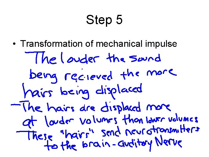 Step 5 • Transformation of mechanical impulse 