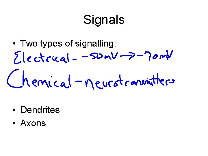 Signals • Two types of signalling: • Dendrites • Axons 