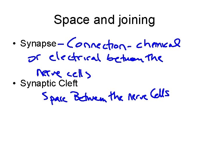 Space and joining • Synapse • Synaptic Cleft 