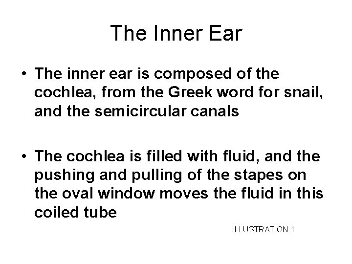 The Inner Ear • The inner ear is composed of the cochlea, from the