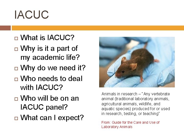 IACUC What is IACUC? Why is it a part of my academic life? Why