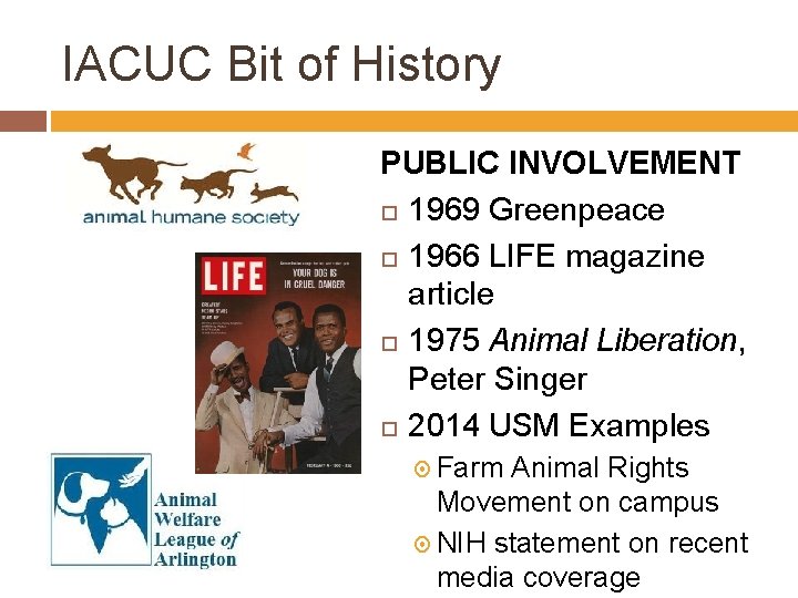 IACUC Bit of History PUBLIC INVOLVEMENT 1969 Greenpeace 1966 LIFE magazine article 1975 Animal