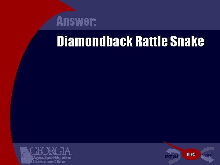 Answer: Diamondback Rattle Snake previous photo next 