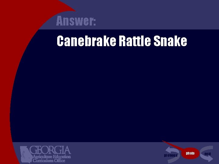 Answer: Canebrake Rattle Snake previous photo next 