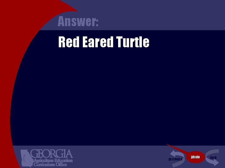 Answer: Red Eared Turtle previous photo next 