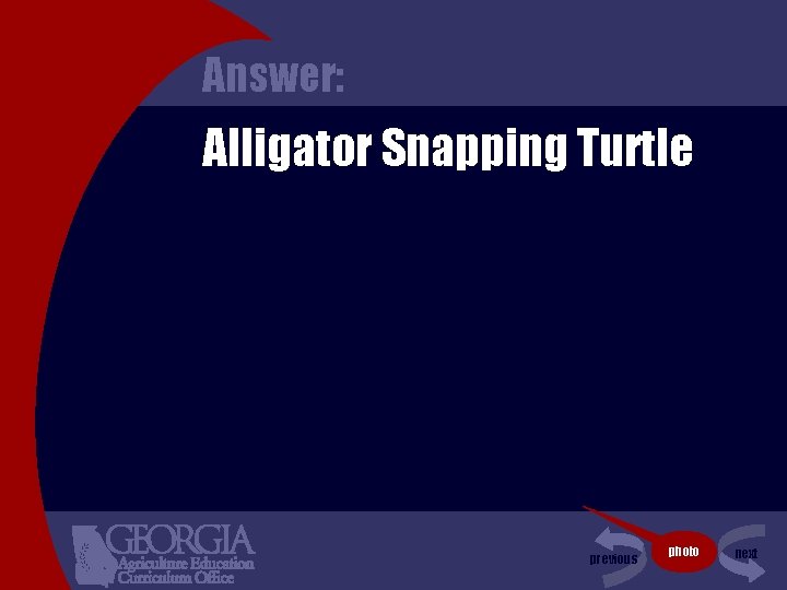 Answer: Alligator Snapping Turtle previous photo next 