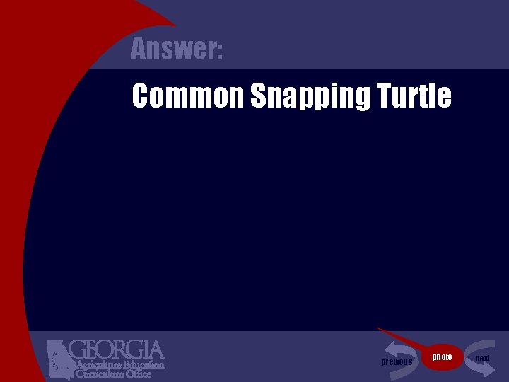 Answer: Common Snapping Turtle previous photo next 