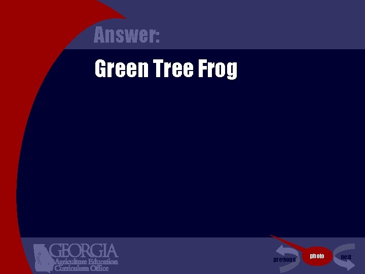 Answer: Green Tree Frog previous photo next 