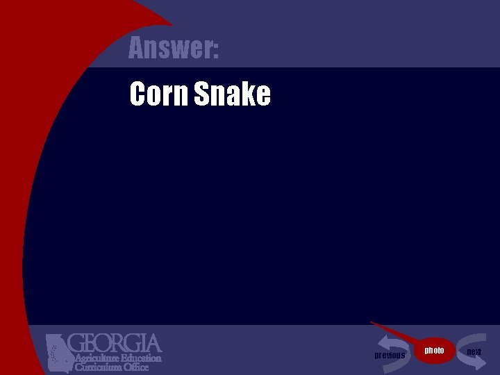 Answer: Corn Snake previous photo next 