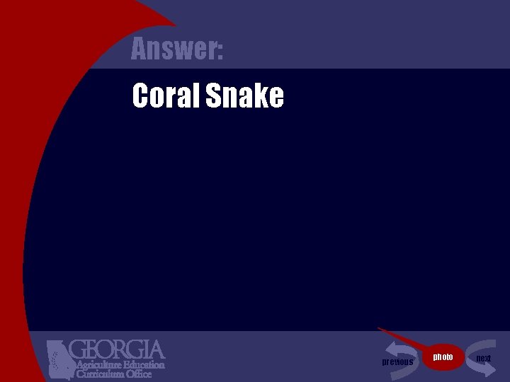 Answer: Coral Snake previous photo next 