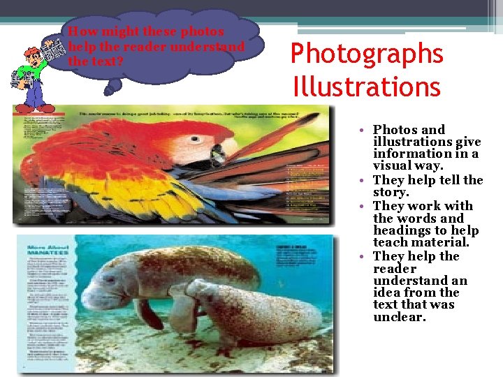 How might these photos help the reader understand the text? Photographs Illustrations • Photos