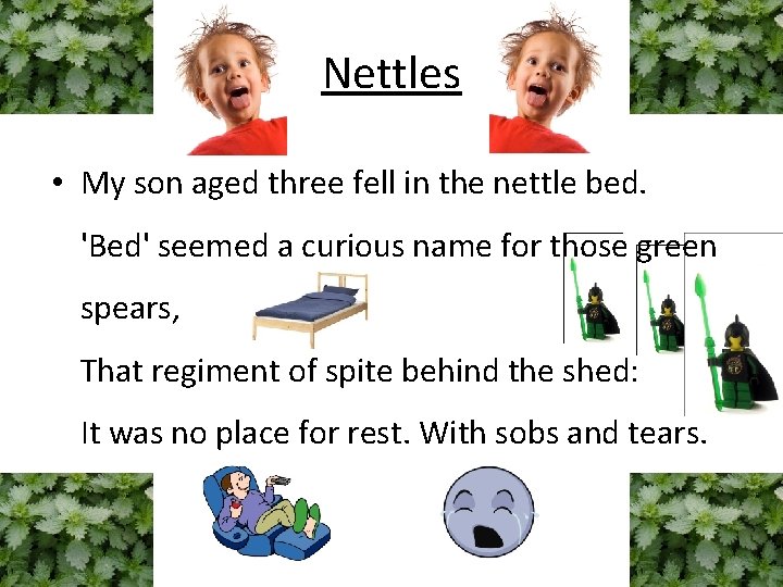 Nettles • My son aged three fell in the nettle bed. 'Bed' seemed a