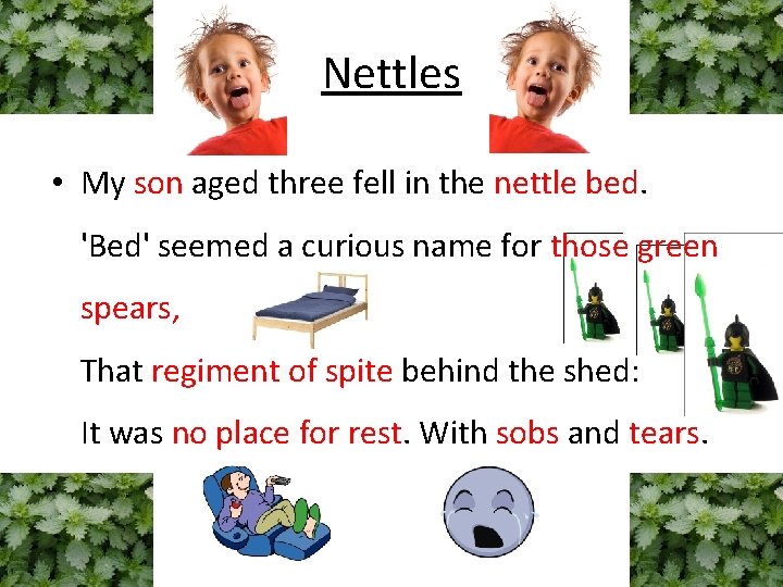 Nettles • My son aged three fell in the nettle bed. 'Bed' seemed a