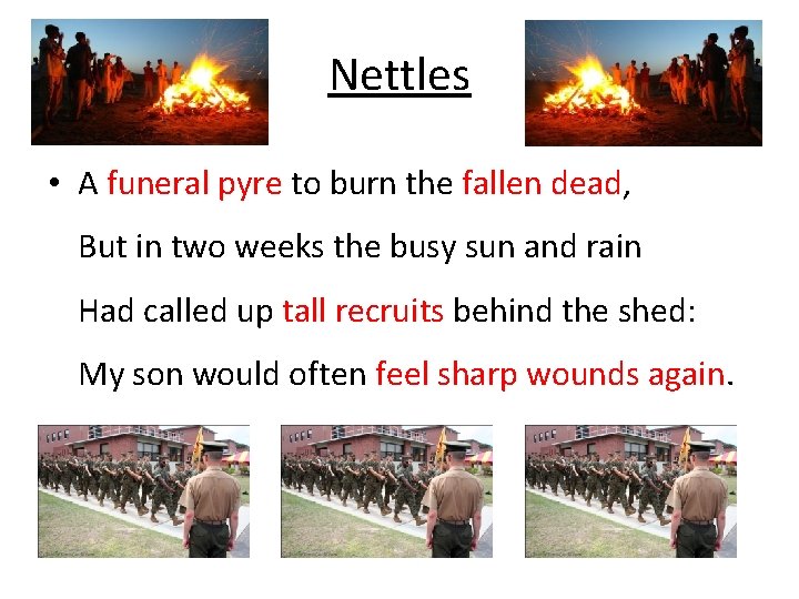 Nettles • A funeral pyre to burn the fallen dead, But in two weeks