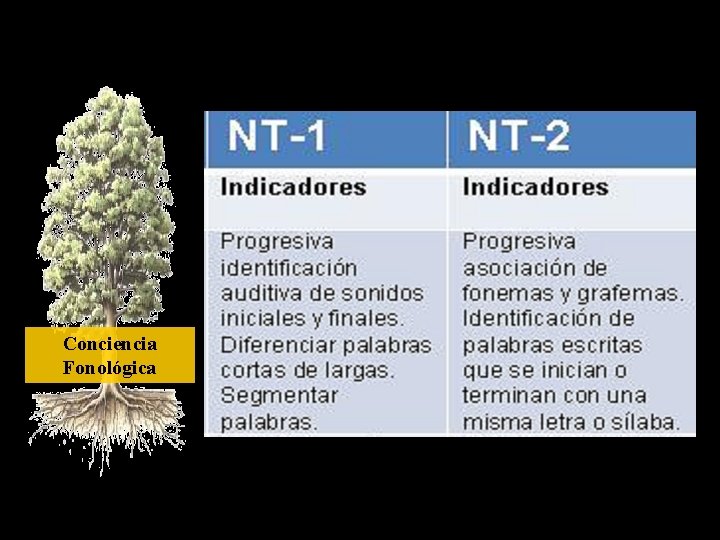 Conciencia Fonológica 