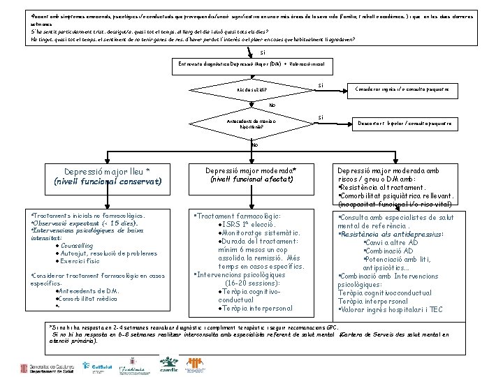  • Pacient amb símptomes emocionals, psicològics i/o conductuals que provoquen disfunció significativa en