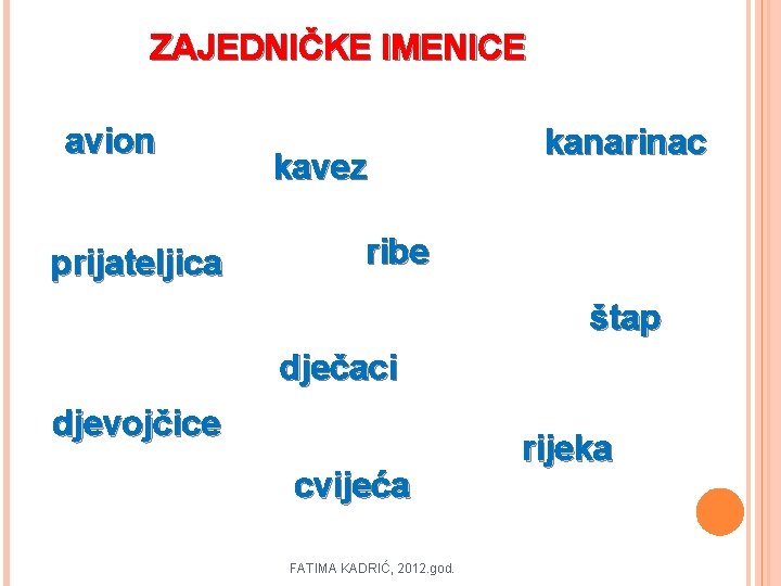 ZAJEDNIČKE IMENICE avion prijateljica kavez kanarinac ribe štap dječaci djevojčice cvijeća FATIMA KADRIĆ, 2012.