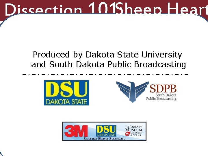 Dissection 101: Sheep Heart Produced by Dakota State University and South Dakota Public Broadcasting