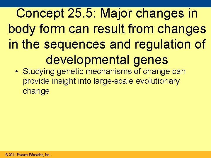 Concept 25. 5: Major changes in body form can result from changes in the
