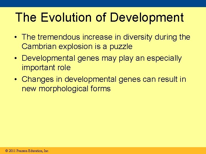 The Evolution of Development • The tremendous increase in diversity during the Cambrian explosion