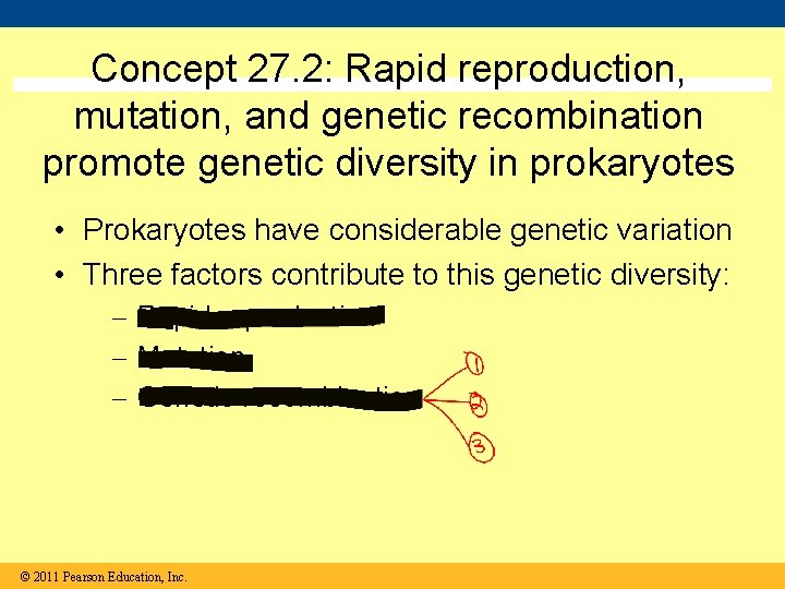 Concept 27. 2: Rapid reproduction, mutation, and genetic recombination promote genetic diversity in prokaryotes