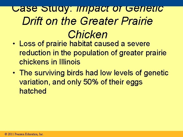 Case Study: Impact of Genetic Drift on the Greater Prairie Chicken • Loss of