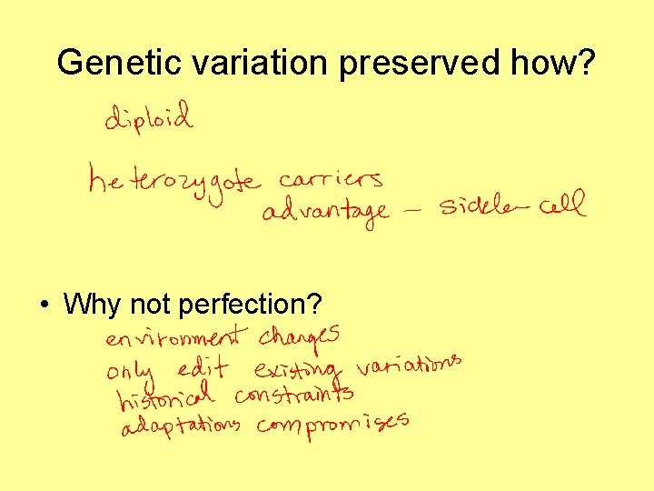 Genetic variation preserved how? • Why not perfection? 