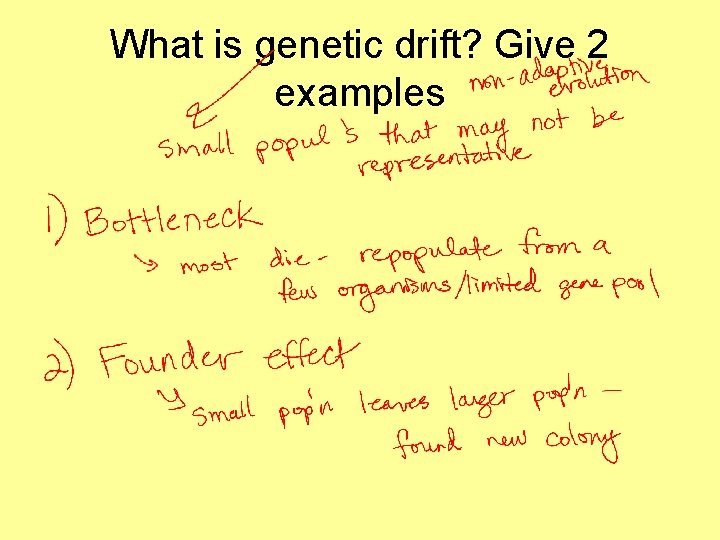 What is genetic drift? Give 2 examples 