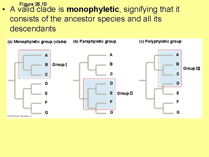 Figure 26. 10 • A valid clade is monophyletic, signifying that it consists of