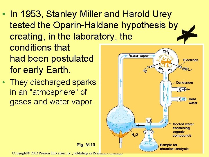  • In 1953, Stanley Miller and Harold Urey tested the Oparin-Haldane hypothesis by