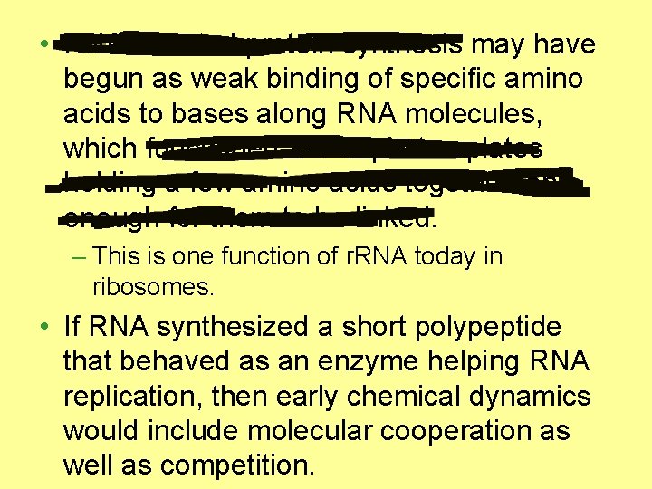  • RNA-directed protein synthesis may have begun as weak binding of specific amino