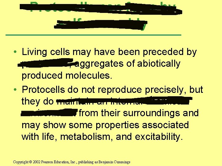 Protocells can form by self-assembly • Living cells may have been preceded by protocells,