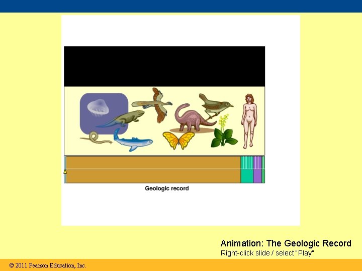 Animation: The Geologic Record Right-click slide / select “Play” © 2011 Pearson Education, Inc.