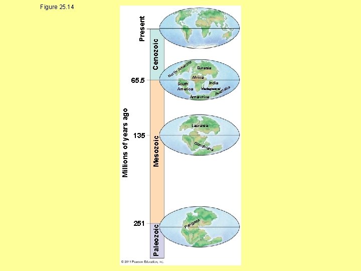 Cenozoic Present Figure 25. 14 a th r No 65. 5 ic er Am