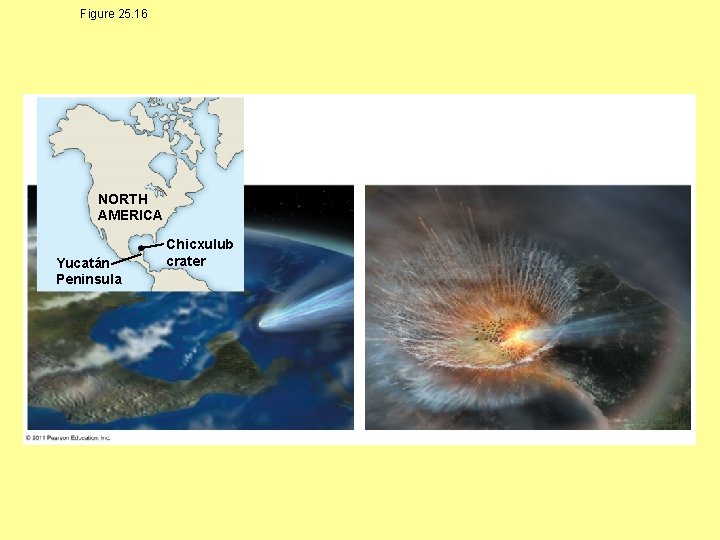 Figure 25. 16 NORTH AMERICA Yucatán Peninsula Chicxulub crater 