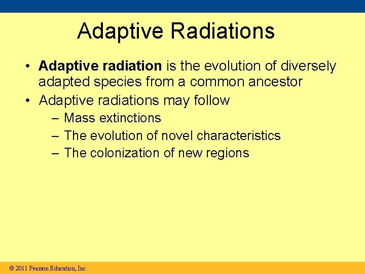 Adaptive Radiations • Adaptive radiation is the evolution of diversely adapted species from a