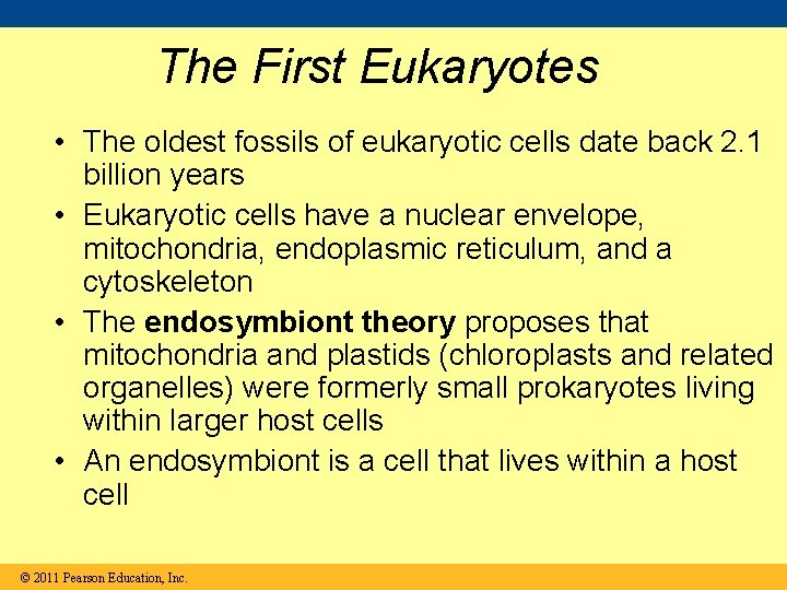 The First Eukaryotes • The oldest fossils of eukaryotic cells date back 2. 1