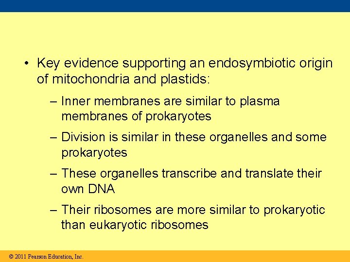  • Key evidence supporting an endosymbiotic origin of mitochondria and plastids: – Inner