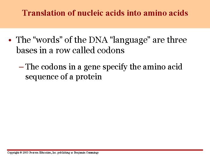 Translation of nucleic acids into amino acids • The “words” of the DNA “language”