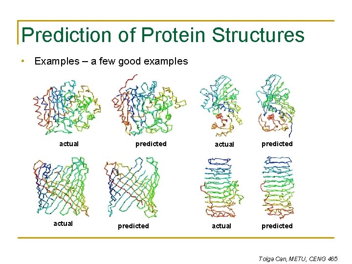 Prediction of Protein Structures • Examples – a few good examples actual predicted Tolga Prediction of Protein Structures • Examples – a few good examples actual predicted Tolga