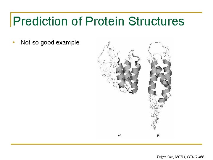 Prediction of Protein Structures • Not so good example Tolga Can, METU, CENG 465 Prediction of Protein Structures • Not so good example Tolga Can, METU, CENG 465