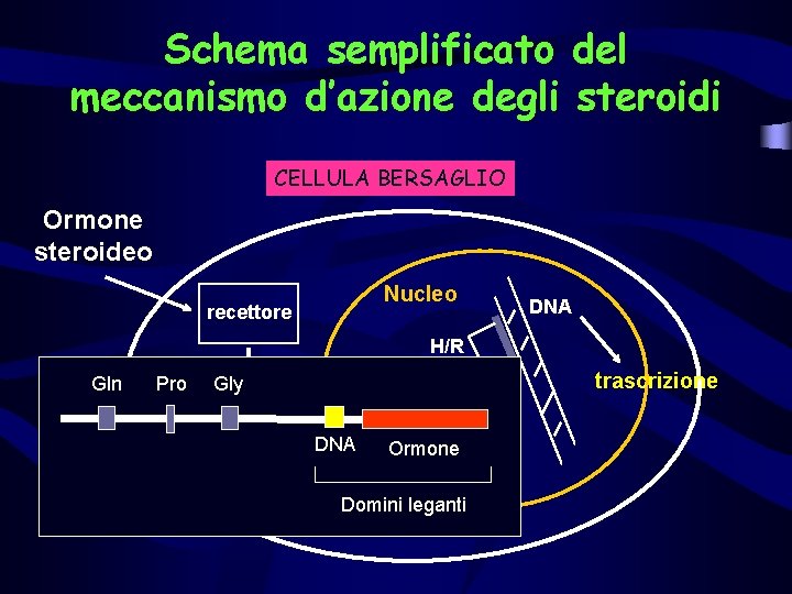 Sito Web notevole - prendere gli steroidi ti aiuterà ad arrivarci