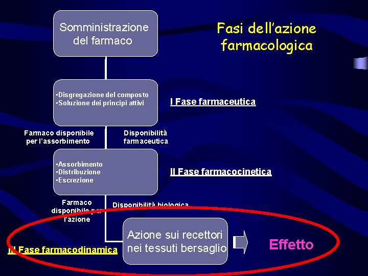 Fasi dell’azione farmacologica Somministrazione del farmaco • Disgregazione del composto • Soluzione dei principi Fasi dell’azione farmacologica Somministrazione del farmaco • Disgregazione del composto • Soluzione dei principi